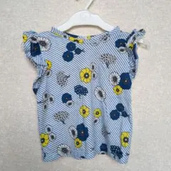 Item thumbnail for item 6f0040b7-a949-4555-9d0b-0eb74bc433a9