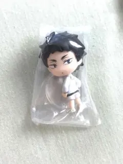 ハイキュー こっちむいてFig. 赤葦京治
