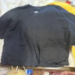 adidasTシャツ