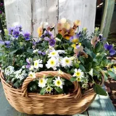 mutok様 リクエスト 2点 まとめ商品