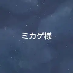専用 ミカゲ様 ハンドメイド キーホルダー 2個セット