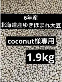 coconut様専用