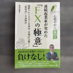 ★美品★ FXの極意