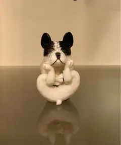 朝隈俊男 ANIMAL LIFE 犬のヨガマスター