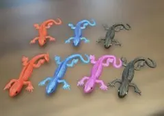 ぺったん　トカゲ 7体セットのサムネイル