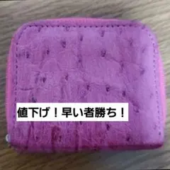 値下げ！早い者勝ち！美品 オーストリッチ ✣小銭入れ✣