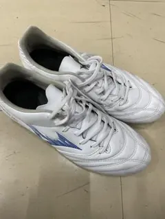 モナルシーダネオ　プロ　ワイド
