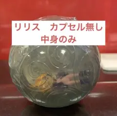 ワンピの実　第二十三海戦　リリス　カプセル無し