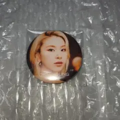 Item thumbnail for item 13706ed1-3022-4007-9d22-707db7c6828d