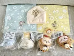 うさぎ　古本屋　まとめ売り