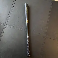 Item thumbnail for item 0da34195-a92e-404b-98d9-427378a88d19