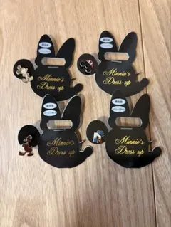 ディズニーランド　イヤリング ピアス　ミッキーマウス　ドナルド