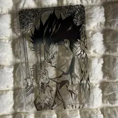 家庭教師ヒットマンREBORN 箔カードコレクション 第1弾 XANXUS
