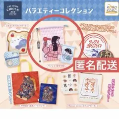 クリエイターズサーカス　バラエティコレクション　サンレモ
