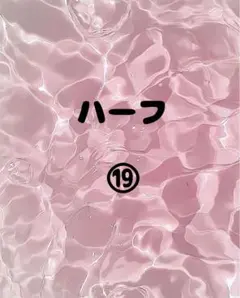 ハーフ⑲ スンスン、パワパフ、アンパンマン、ベティ、ヒスミニ、ズートピア他