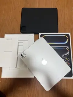 Apple】iPad Pro 本体 256GB 最大容量100% 充放電22回 - メルカリ