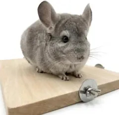 【新品・バリなし】木製コーナーステージ 取り付け簡単 小動物用 運動不足解消のサムネイル