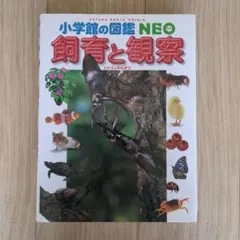 Item thumbnail for item cc8c4c42-32dc-4feb-bcd5-69dd6d993cb3