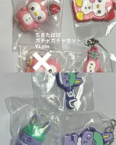 ちまたぽぽガチャガチャセット