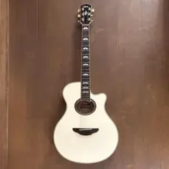 2025年最新】yamaha apx1000の人気アイテム - メルカリ