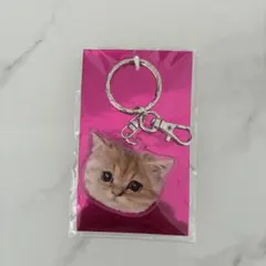 ポールアンドジョー猫 アクリルキーホルダー未使用