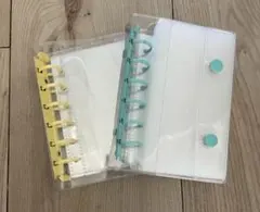 Item thumbnail for item bb5a4b29-a379-4b3b-9327-63dbb8766c26