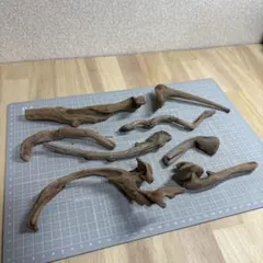 水槽用流木 8本セット M303