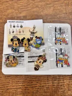 ディズニーリゾート ピンバッジ・チャームセット
