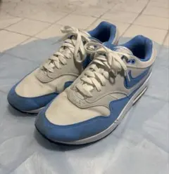 Nike スニーカー ホワイト/ブルー