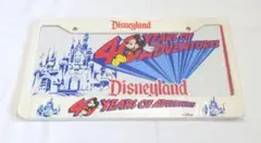 海外 ディズニーランド 40周年 ナンバープレート