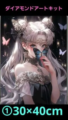 ①蝶を持つファンタジー少女ダイアモンドアートキット30×40cm