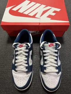 NIKE DUNK LOW “Valerian Blue” 26cm