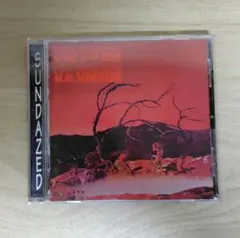 C.A.QUINTET trip thru hell 輸入盤