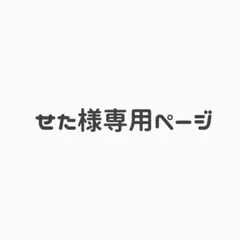 専用ページ