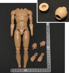 特別ジョイント2個付) 1/6 素体 男性 FACEPOOL フィギュア