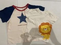 ライオンプリントと星柄Tシャツセット 80 100 セット