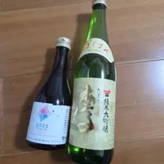 Item thumbnail for item a4b98f4f-b8c5-4f83-88e2-a4b0f848ea7e