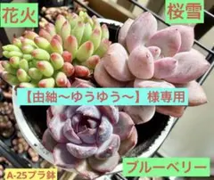 【由紬〜ゆうゆう〜】様 リクエスト 2点 まとめ商品