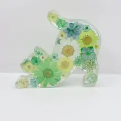 猫ちゃん^ ̳ᴗ ̫ ᴗ ̳^固まるハーバリウム　オブジェ