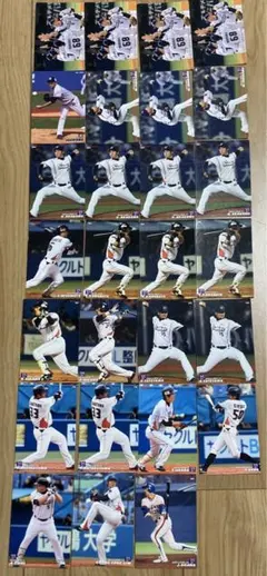 プロ野球チップスカード　ヤクルトスワローズ