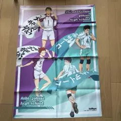ハイキュー 布ポスター 白鳥沢 青葉