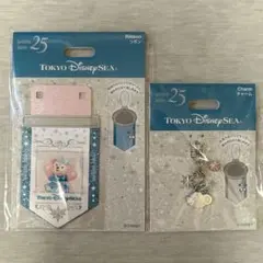 【説明文必読】東京ディズニーシー25周年　シェリーメイ　リボン＆チャーム