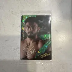 Item thumbnail for item 5003f981-3cd2-4727-88ab-787f80f89a76