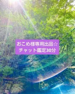 【おこめ様専用出品】チャット鑑定 30分占い放題☆