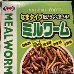生タイプミルワーム　小動物、小鳥、爬虫類、両生類、肉食熱帯魚用のサムネイル