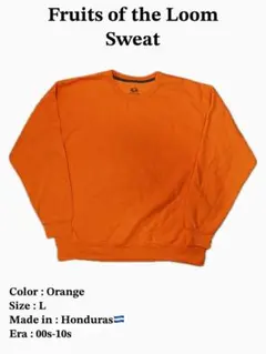 USA古着　フルーツオブザルーム　スウェット　L