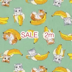 SALE 2m 猫とバナナ グリーン オックス