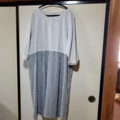 レデース、4Lチュニック (半袖)