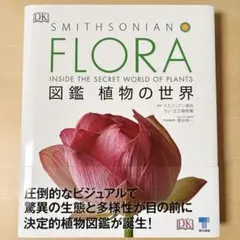 Takabee様 リクエスト 3点 まとめ商品