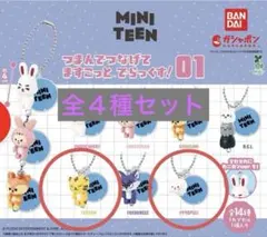 MINITEEN ガチャガチャ ジョシュア ジュン ウォヌ ウジ ディエイト